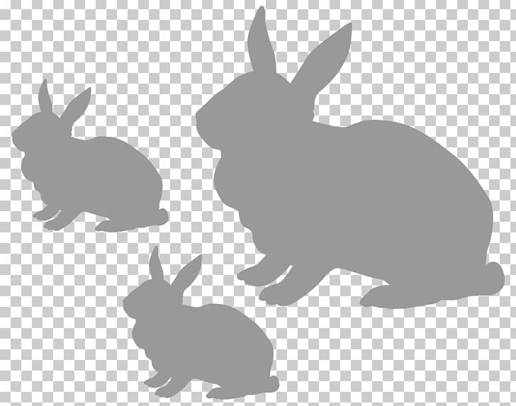 Domestic Rabbit Hare Pet Food PNG, Clipart, Animal, Animals, Black, Black And White, Broccoli Free PNG Download