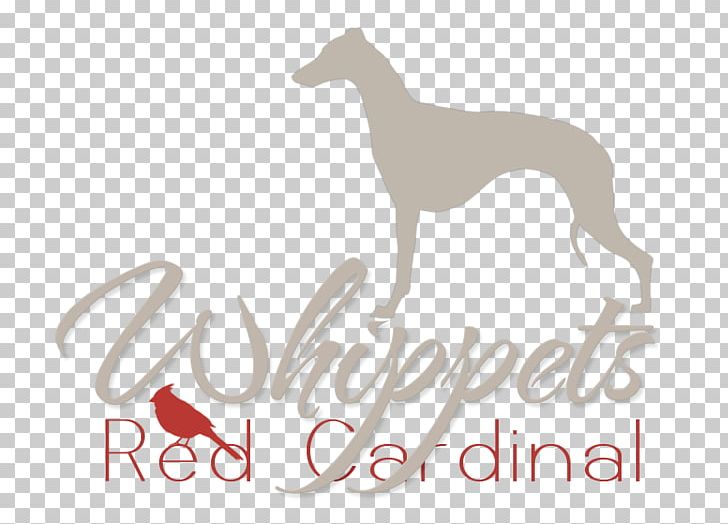 Italian Greyhound Whippet Spanish Greyhound Dog Breed PNG, Clipart, Breed, Carnivoran, Customs, Dog, Dog Breed Free PNG Download