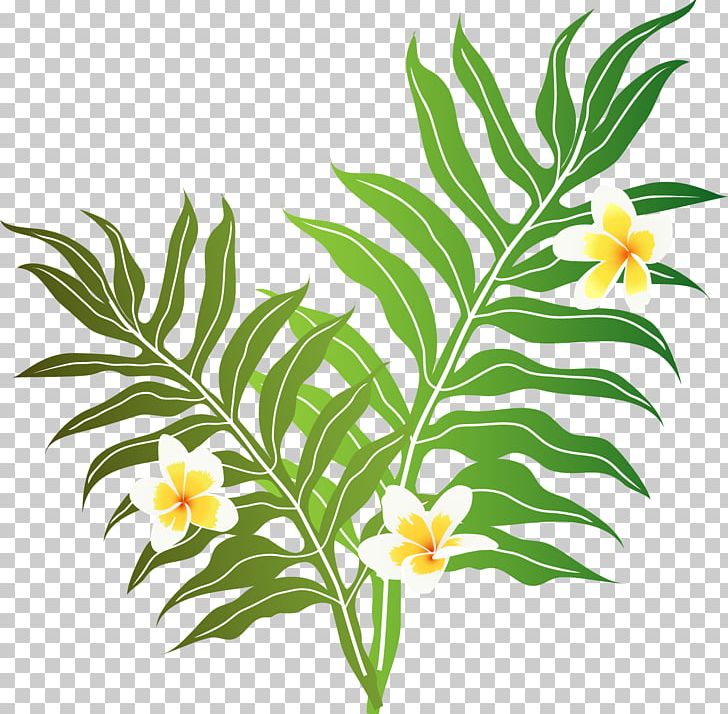 Music Of Hawaii Cut Flowers PNG, Clipart, Branch, Coral Reef, Cut Flowers, Entryway, Fist Pump Free PNG Download