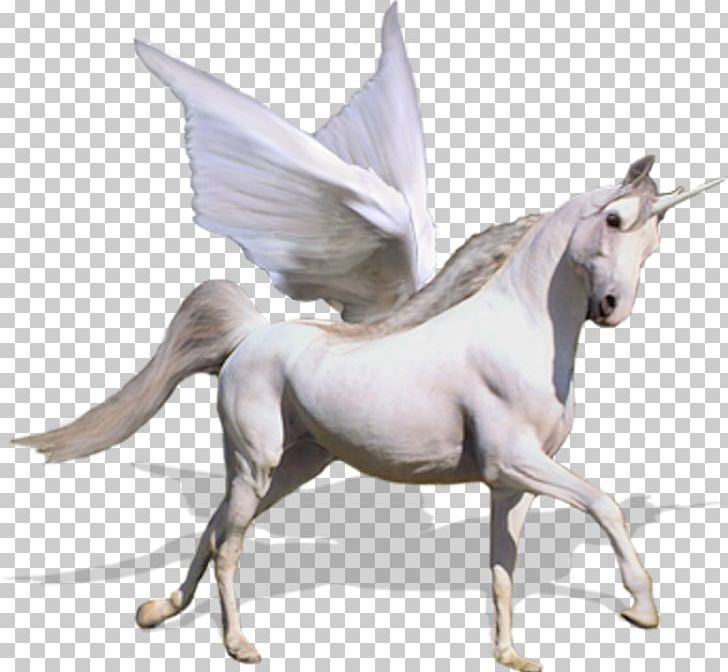 Unicorn Horse Caballo Alado PNG, Clipart, Caballo Alado, Desktop Wallpaper, Fantasy, Fictional Character, Figurine Free PNG Download