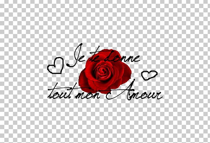 Love Valentine's Day Greeting & Note Cards Garden Roses Skyrock PNG, Clipart, Advertising, Blog, Brand, Calligraphy, Cut Flowers Free PNG Download