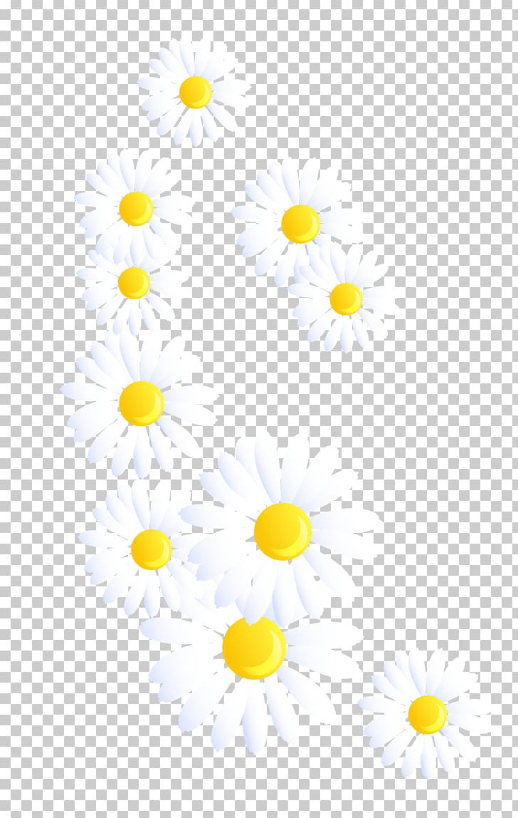 Yellow White Chrysanthemum PNG, Clipart, Area, Broccoli, Chrysanthemum Vector, Flower, Flowers Free PNG Download