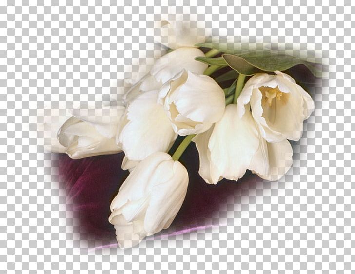 Cut Flowers Flower Bouquet Tulip Centerblog PNG, Clipart, Blog, Bride, Buket, Buket Resimleri, Centerblog Free PNG Download