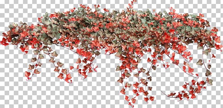 Ivy Vine PNG, Clipart, Animation, Bahce, Branch, Flatcast Radyolar, Image Editing Free PNG Download