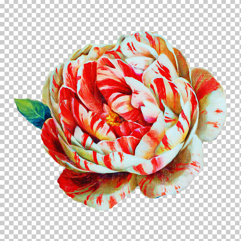Garden Roses PNG, Clipart, Cut Flowers, Flower, Flower Bouquet, Garden, Garden Roses Free PNG Download