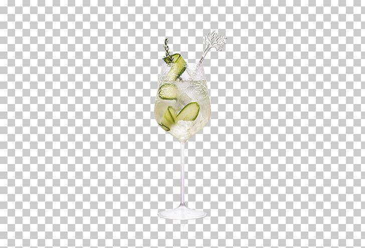 Cocktail Garnish Spritz Gin And Tonic Martini PNG, Clipart, Belvedere Vodka, Campari, Champagne Glass, Champagne Stemware, Cocktail Free PNG Download