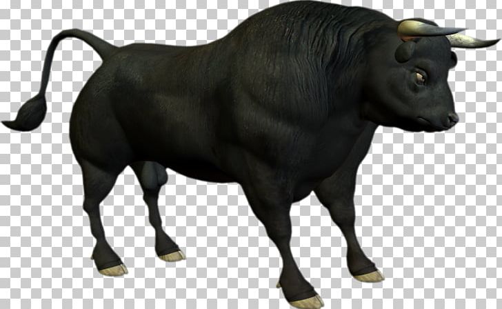 Angus Cattle Bull PNG, Clipart, Animal Figure, Animals, Bison, Black Bull, Cattle Free PNG Download
