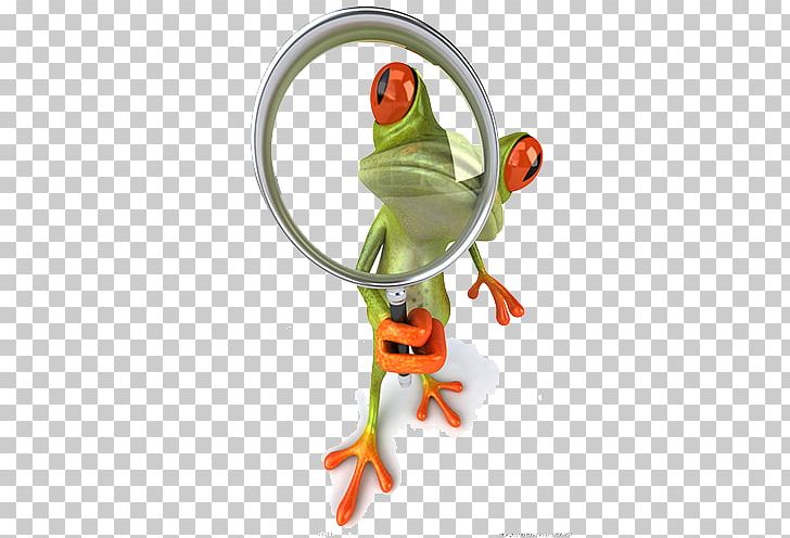 Frog Magnifying Glass Illustration PNG, Clipart, Amphibian, Beak, Broken Glass, Business, Champagne Glass Free PNG Download