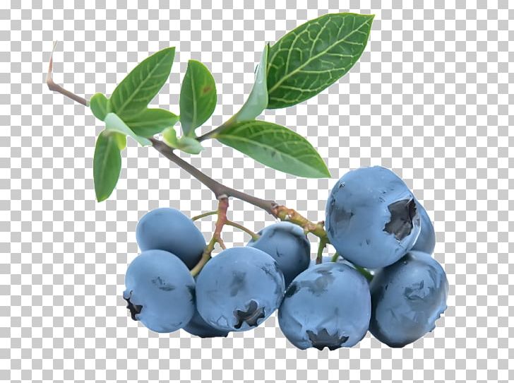 Ice Cream Muesli Bilberry European Blueberry PNG, Clipart, Berry, Bilberry, Blackberry, Blue, Blueberries Free PNG Download