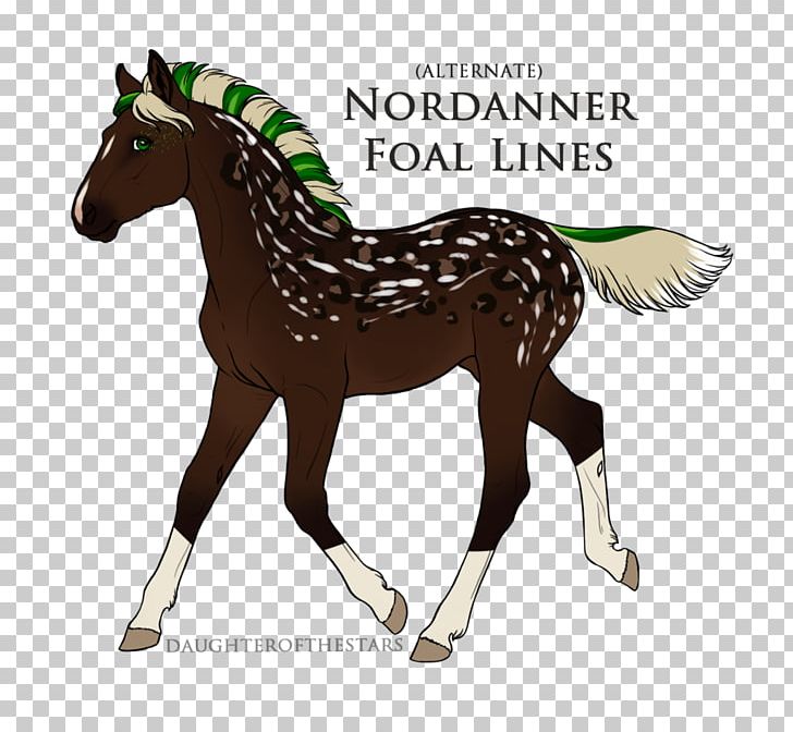 Stallion Foal Mare Mustang Colt PNG, Clipart, Animal Figure, Bridle, Colt, Fancy Beetle, Foal Free PNG Download