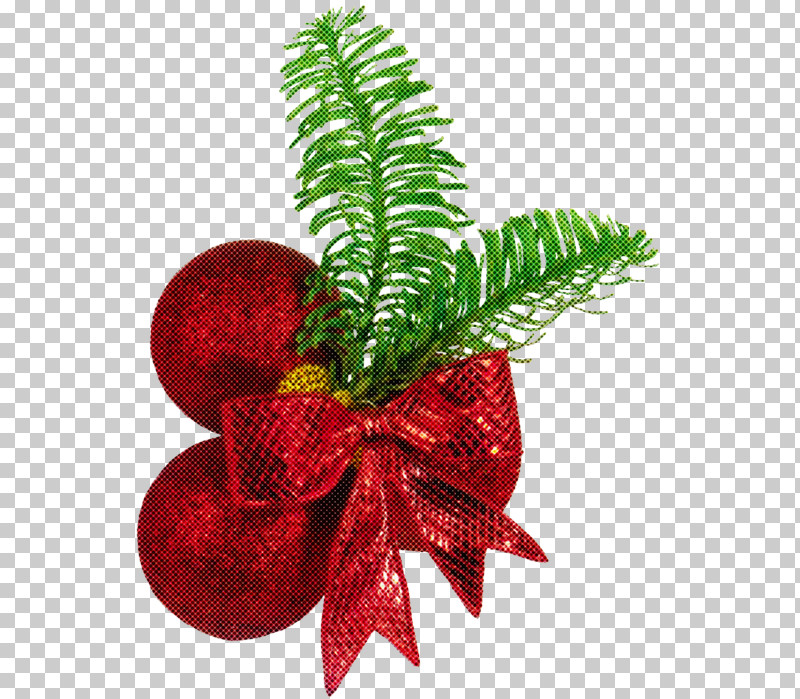 Christmas Decoration PNG, Clipart, Anthurium, Branch, Christmas, Christmas Decoration, Christmas Ornament Free PNG Download