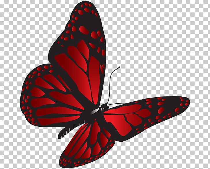Butterfly Red PNG, Clipart, Appias Nero, Arthropod, Blue, Brush Footed Butterfly, Butterflies And Moths Free PNG Download