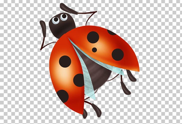 Ladybird Beetle Insect PNG, Clipart, Adobe Systems, Animals, Arthropod, Beetle, Coccinelle Free PNG Download
