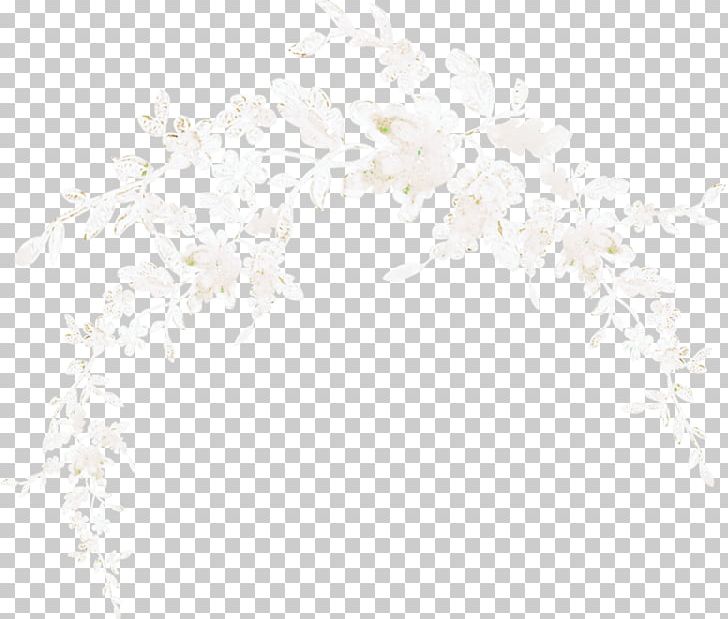 Photography Light Яндекс.Фотки PNG, Clipart, Become, Branch, Color, Computer Wallpaper, Decoration Free PNG Download