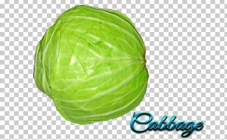 Capitata Group Vegetable PNG, Clipart, Brassica Oleracea, Broccoli, Brussels Sprout, Cabbage, Capitata Group Free PNG Download