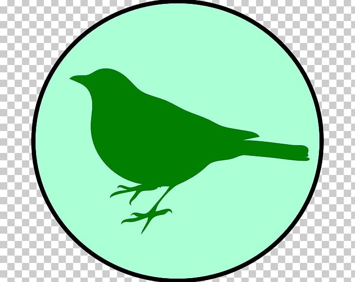 Eastern Bluebird Mountain Bluebird PNG, Clipart, Animals, Artwork, Beak, Bird, Bird Flight Free PNG Download