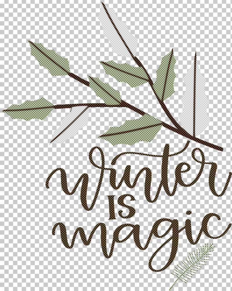 Winter Is Magic Hello Winter Winter PNG, Clipart, Biology, Hello Winter, Leaf, Plants, Plant Stem Free PNG Download
