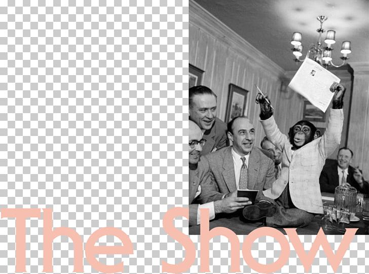Chimpanzee J. Fred Muggs Photograph Television Design PNG, Clipart, Abba, Black And White, Brand, Chimpanzee, Communication Free PNG Download