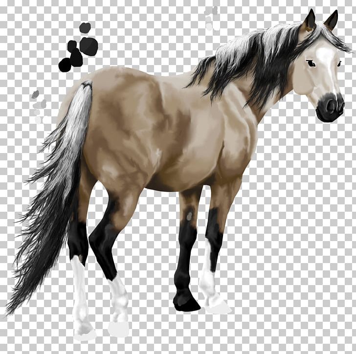 Mane Mustang Stallion Pony American Paint Horse PNG, Clipart, American Paint Horse, Aqsa, Bridle, Colt, Equestrian Free PNG Download