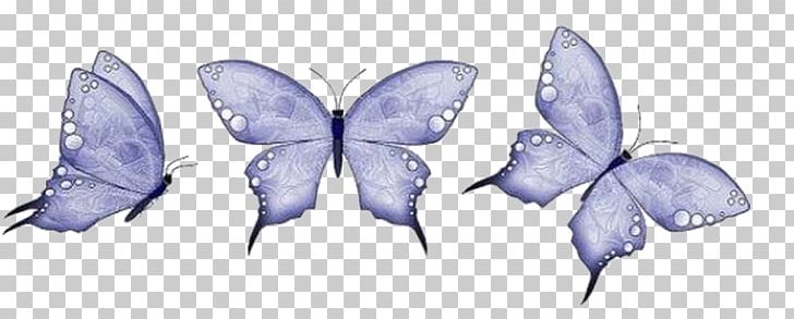 Butterfly Animation PNG, Clipart, Artwork, Blog, Blue Butterfly, Butterflies, Butterfly Free PNG Download