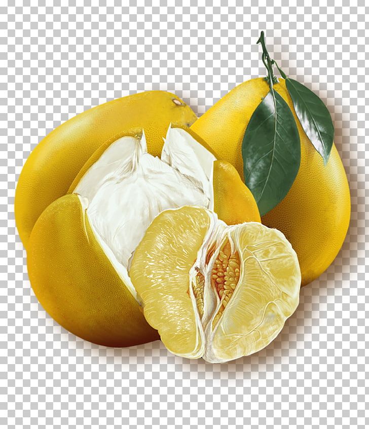 Pomelo Fruit Yuja-cha Auglis PNG, Clipart, Cartoon, Citrus, Eating, Food, Fruit Free PNG Download