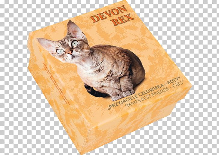 Tabby Cat Kitten Whiskers Tail PNG, Clipart, Box, Carnivoran, Cat, Cat Like Mammal, Devon Rex Free PNG Download