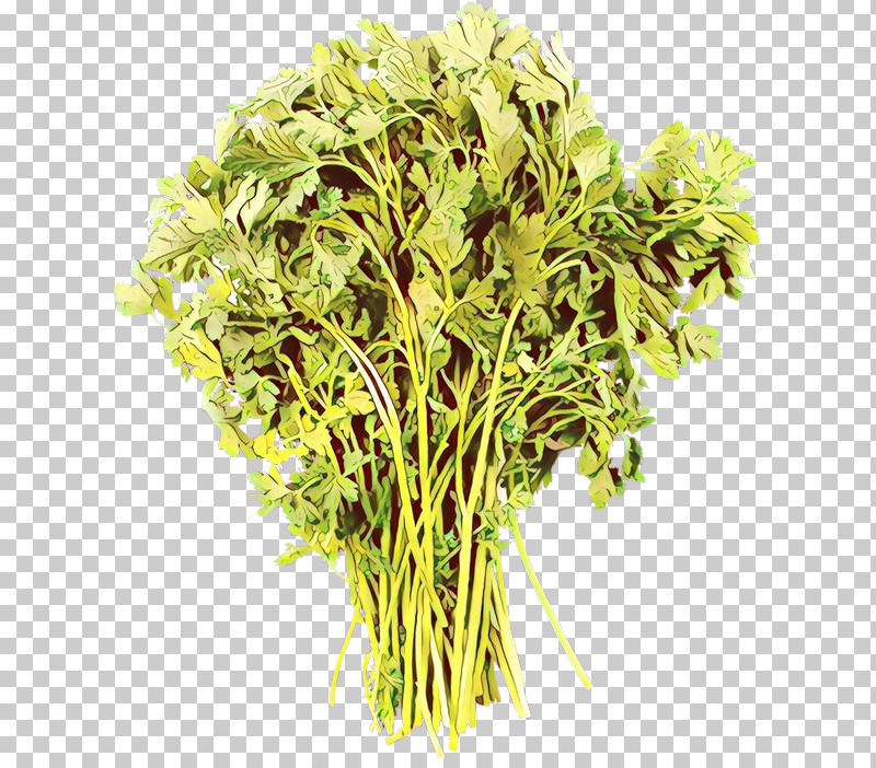 Plant Flower Grass Herb Plant Stem PNG, Clipart, Flower, Garden Cress, Grass, Herb, Leaf Vegetable Free PNG Download