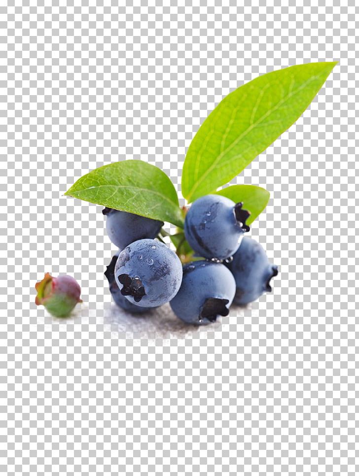 Blueberry Tea Bilberry Fruit PNG, Clipart, Antioxidant, Auglis, Blueberry, Blueberry Bush, Blueberry Cake Free PNG Download