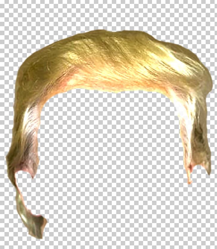 Crippled America Toupée Wig Hair Stop Trump Movement PNG, Clipart, Charles Manson, Crippled America, Donald Trump, Face, Fur Free PNG Download
