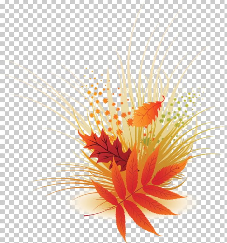Leaf PNG, Clipart, Aquarium Decor, Autumn Leaf Color, Cut Flowers, Download, Encapsulated Postscript Free PNG Download