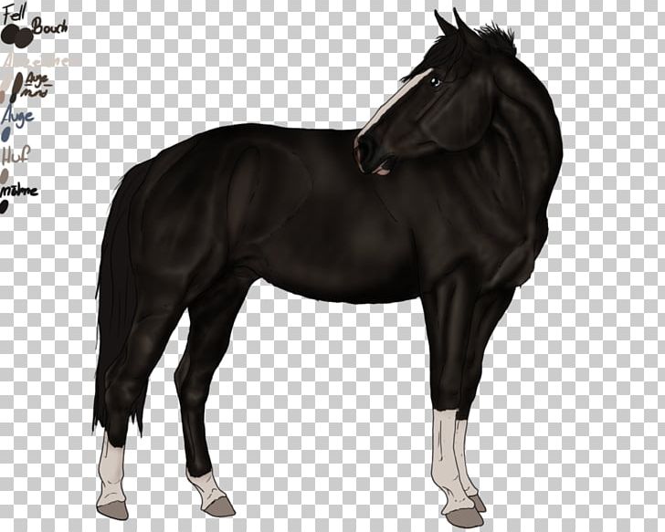 Mustang Stallion Mare Bridle Halter PNG, Clipart, Bridle, Halter, Horse, Horse Harness, Horse Harnesses Free PNG Download