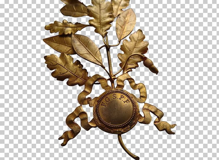 01504 Tree PNG, Clipart, 01504, Brass, Metal, Nature, Tree Free PNG Download