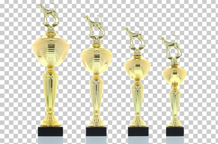 Earring Trophy PNG, Clipart, Award, Brass, Earring, Earrings, Hunde Free PNG Download