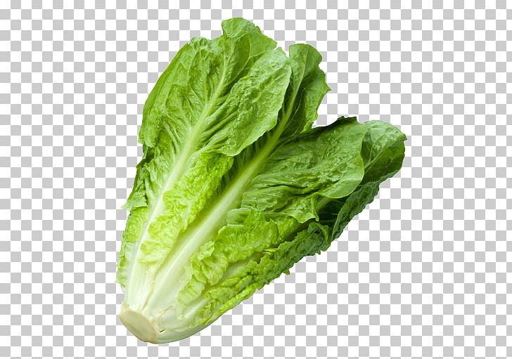 Romaine Lettuce Iceberg Lettuce Vegetable Food Leaf Lettuce PNG, Clipart, Cabbage, Celtuce, Chard, Choy Sum, Collard Greens Free PNG Download