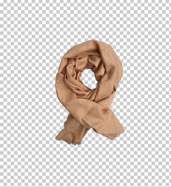 Scarf Neck PNG, Clipart, Dina, Neck, Others, Scarf, Stole Free PNG Download