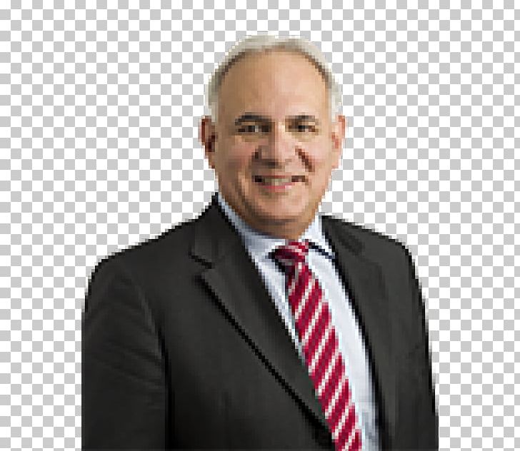 CREMONINI SPA Ward Howell Management Business Chief Executive PNG, Clipart, B2b Cfo, Board Of Directors, Business, Business Executive, Businessperson Free PNG Download