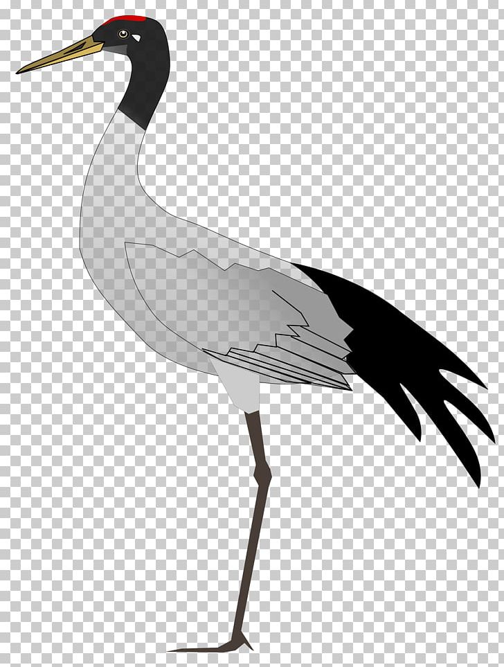 Ladakh States And Territories Of India Bird Crane PNG, Clipart, Barheaded Goose, Beak, Bird, Blacknecked Crane, Charadriiformes Free PNG Download