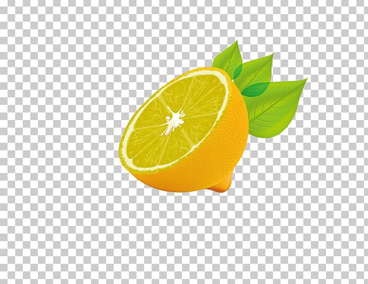 Lemon Auglis PNG, Clipart, Attraction, Attraction Icon, Attractive, Attractive Vector, Auglis Free PNG Download