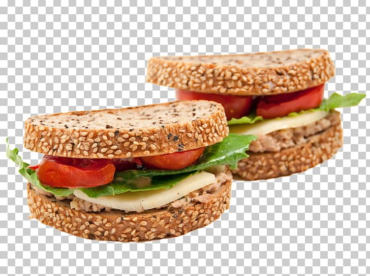 Tuna Fish Sandwich Hamburger Cheese Sandwich Chicken Sandwich Breakfast Sandwich PNG, Clipart, Big Burger, Birds Eye View Burger, Breakfast Sandwich, Burger, Cheese Sandwich Free PNG Download