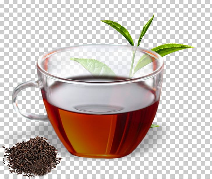 Hōjicha Assam Tea Oolong Green Tea PNG, Clipart, Assam Tea, Black Tea, Caffeine, Chinese Herb Tea, Cup Free PNG Download