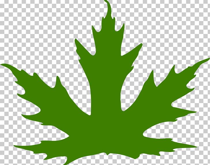 Maple Leaf PNG, Clipart, Art, Autumn, Autumn Leaf Color, Computer Icons, Grass Free PNG Download