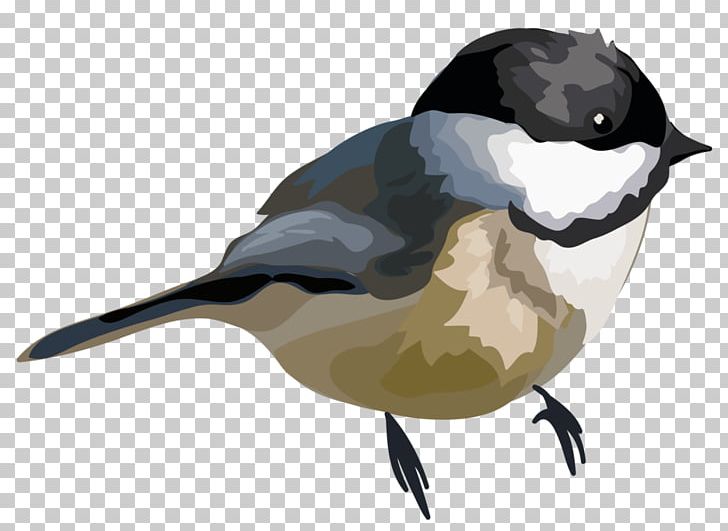Bird Beak Watercolor Painting PNG, Clipart, 1080p, Animal, Animals, Beak, Bird Free PNG Download