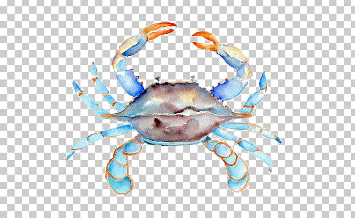 Crab Cake Watercolor Painting Chesapeake Blue Crab PNG, Clipart, Animals, Animal Source Foods, Art, Beach, Blue Free PNG Download