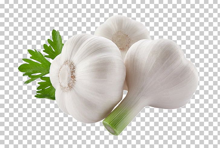 Garlic Food Vegetable Onion PNG, Clipart, Cartoon Garlic, Chili Garlic, Condiment, Dish, Drink Free PNG Download
