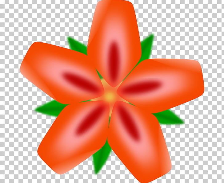Hawaiian Flower PNG, Clipart, Blog, Cartoon, Drawing, Flower, Flowering Plant Free PNG Download