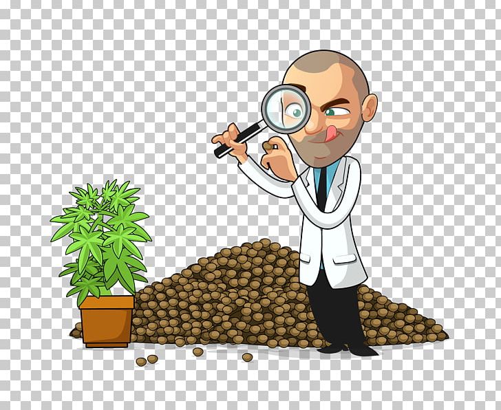 Cannabis Cultivation PNG, Clipart, Arrival, Autoflowering Cannabis, Cannabis, Cannabis Cultivation, Cartoon Free PNG Download