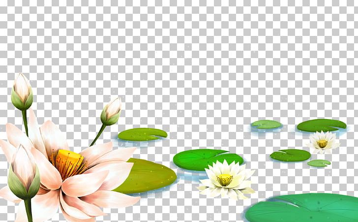 China Nelumbo Nucifera Falun Gong Pygmy Water-lily Illustration PNG, Clipart, Computer Wallpaper, Daisy, Dutch, Flora, Floral Design Free PNG Download