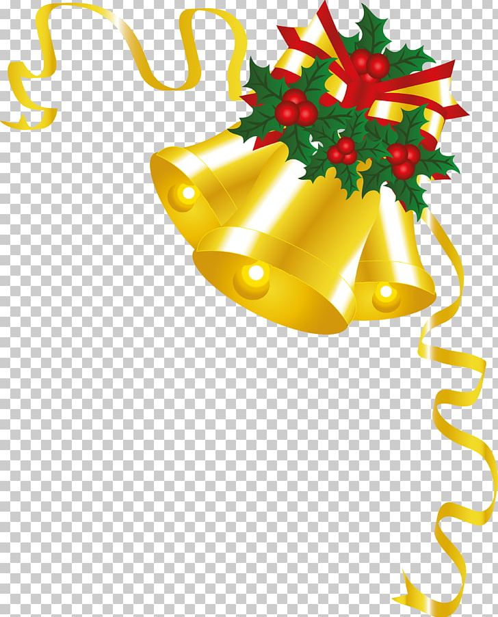 Christmas Card Gift Banco De Ns PNG, Clipart, Banco De Imagens, Branch, Chris, Christmas Decoration, Christmas Ornament Free PNG Download