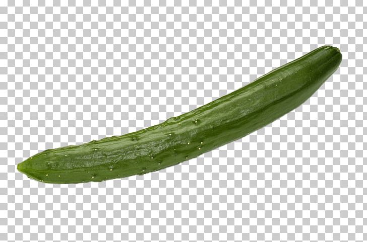 Pickled Cucumber Vegetable PNG, Clipart, Cucumber Cartoon, Cucumber Juice, Cucumber Slice, Cucumber Slice, Encapsulated Postscript Free PNG Download