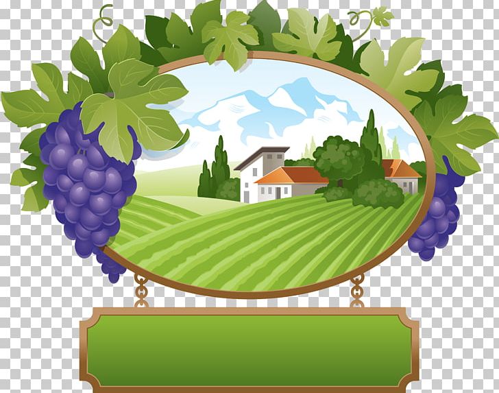 Wine Common Grape Vine PNG, Clipart, Cartoon, Clip Art, Common Grape Vine, Drawing, Flowering Plant Free PNG Download